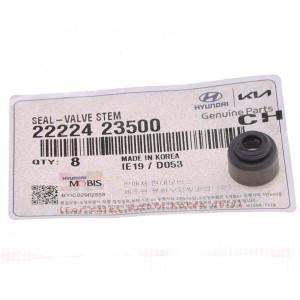 Hyundai / KIA Mühərrik klapanın kipkəci 2222423500  (Original)