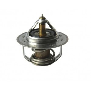 Hyundai i30 Termostat 255002A000