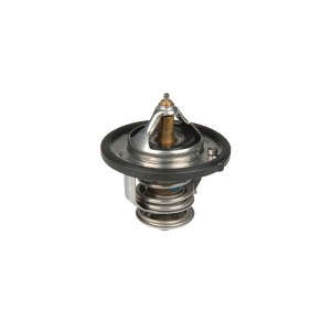 Hyundai Sonata Termostat 2550023010