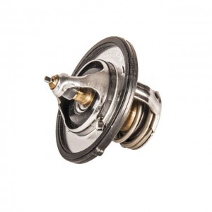 Hyundai Accent Termostat 255002B000
