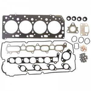 Mühərrik conta dəsti Hyundai Veloster üçün 209102BK01