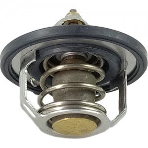 Termostat KİA Ceed üçün 255002A100