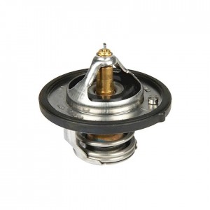 KIA Cerato Termostat 255002B000