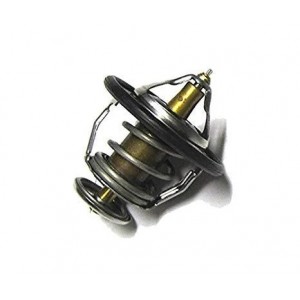 Hyundai SantaFe Termostat 2550035540